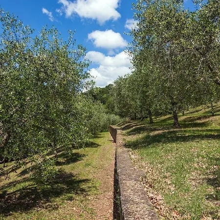 Apartament Casa Fiore *